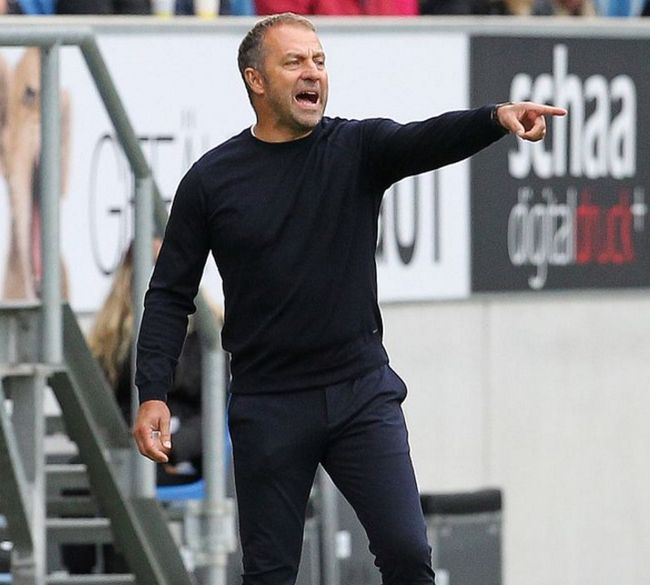 关于霍芬海姆传奇球员宣布退役，球迷泪别功勋的信息