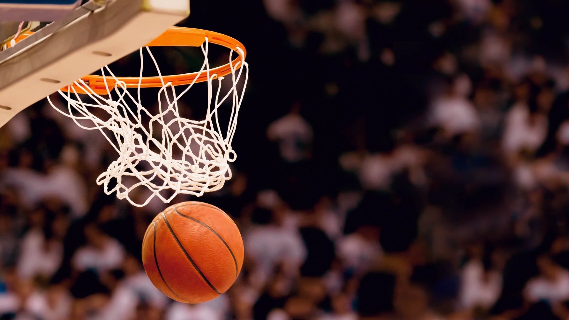 CBA与NBA的幻梦交织,湖人制霸浙江队,字母哥成为关键先生—一场跨次元的篮球寓言